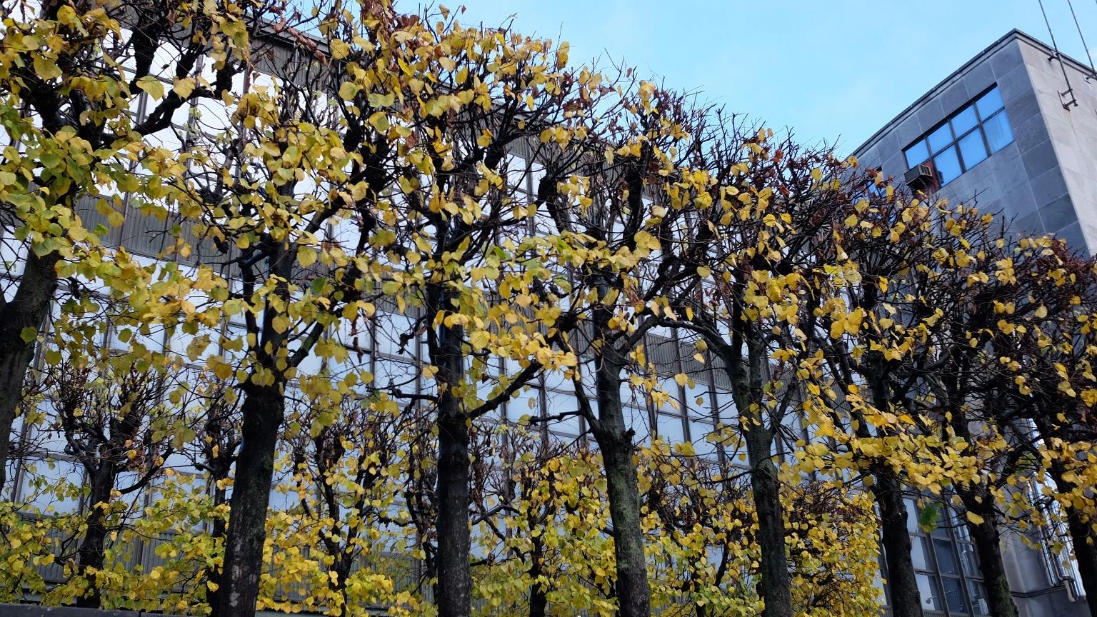 namur201116023