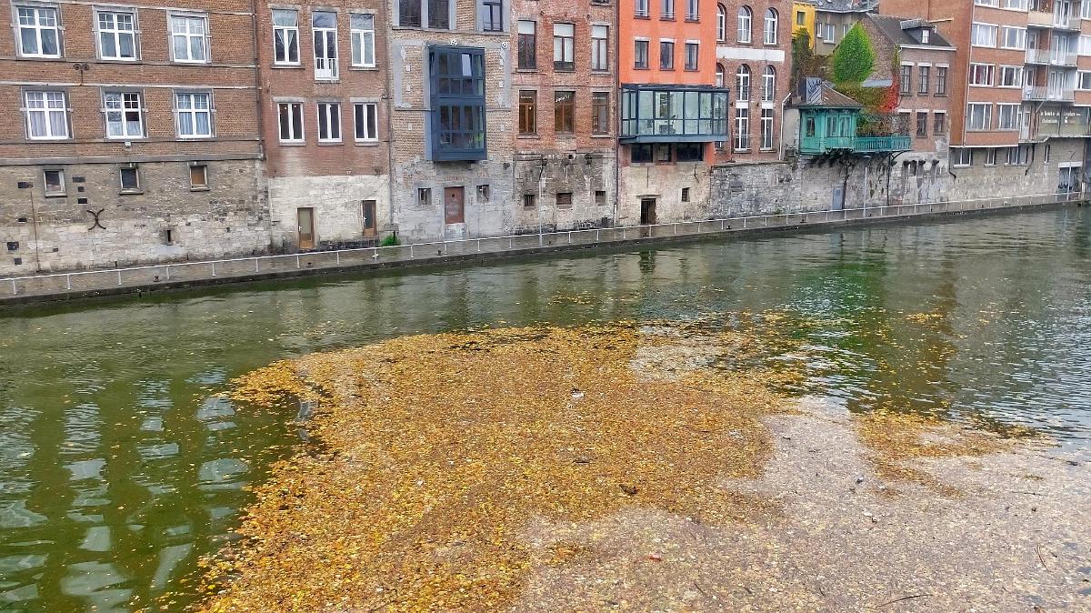 namur1111180013