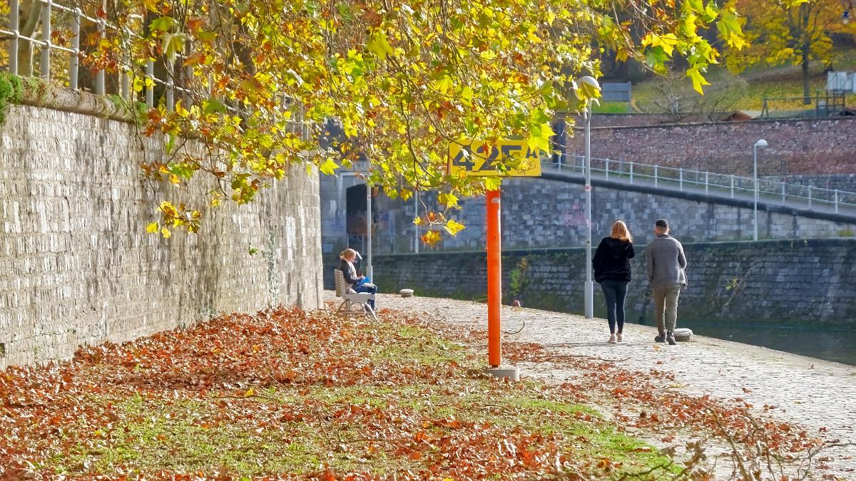 namur1111180071