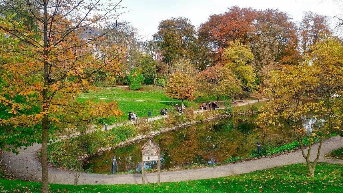 namur1111180079