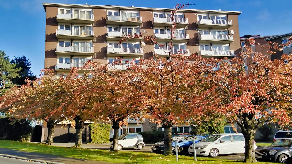 namur101119081