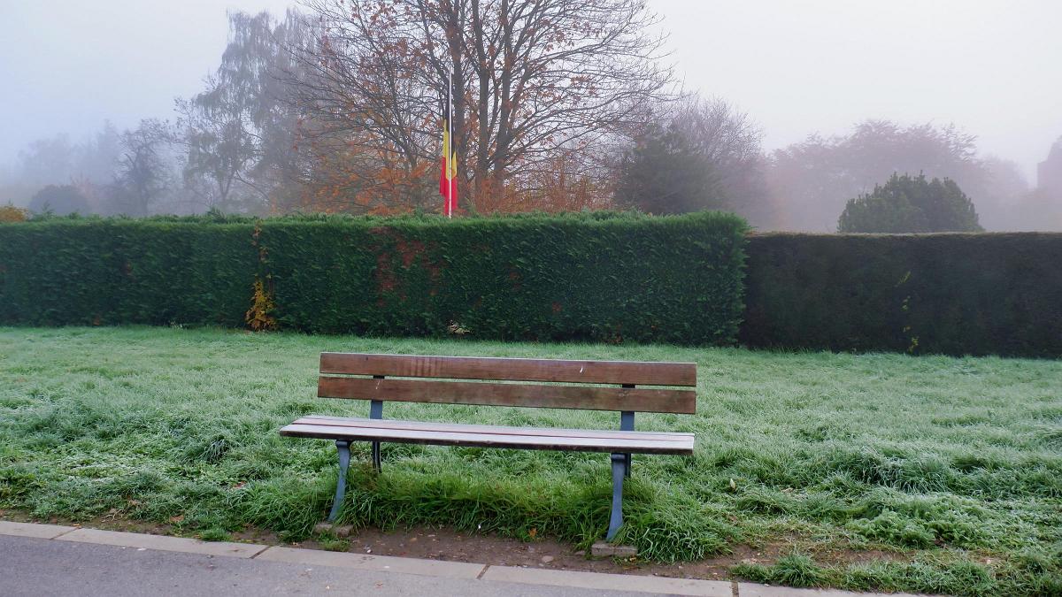 namur241119023