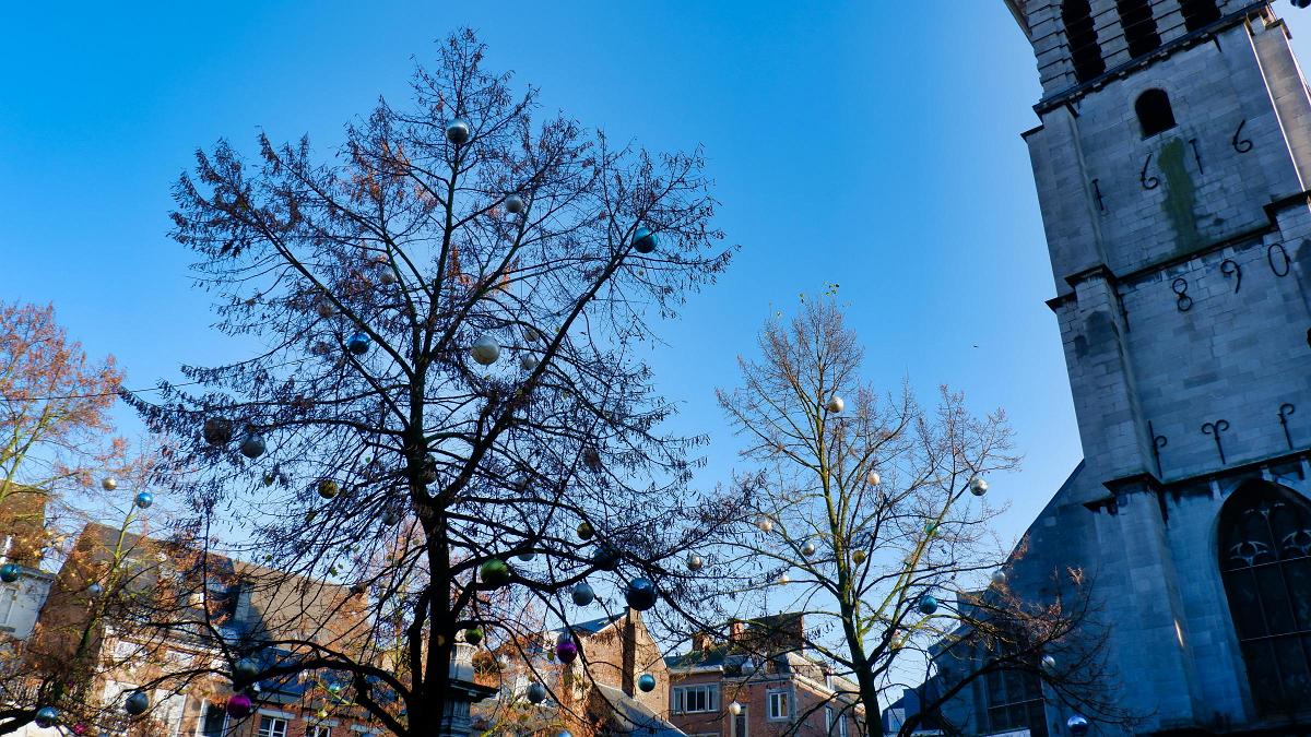 namur241119046