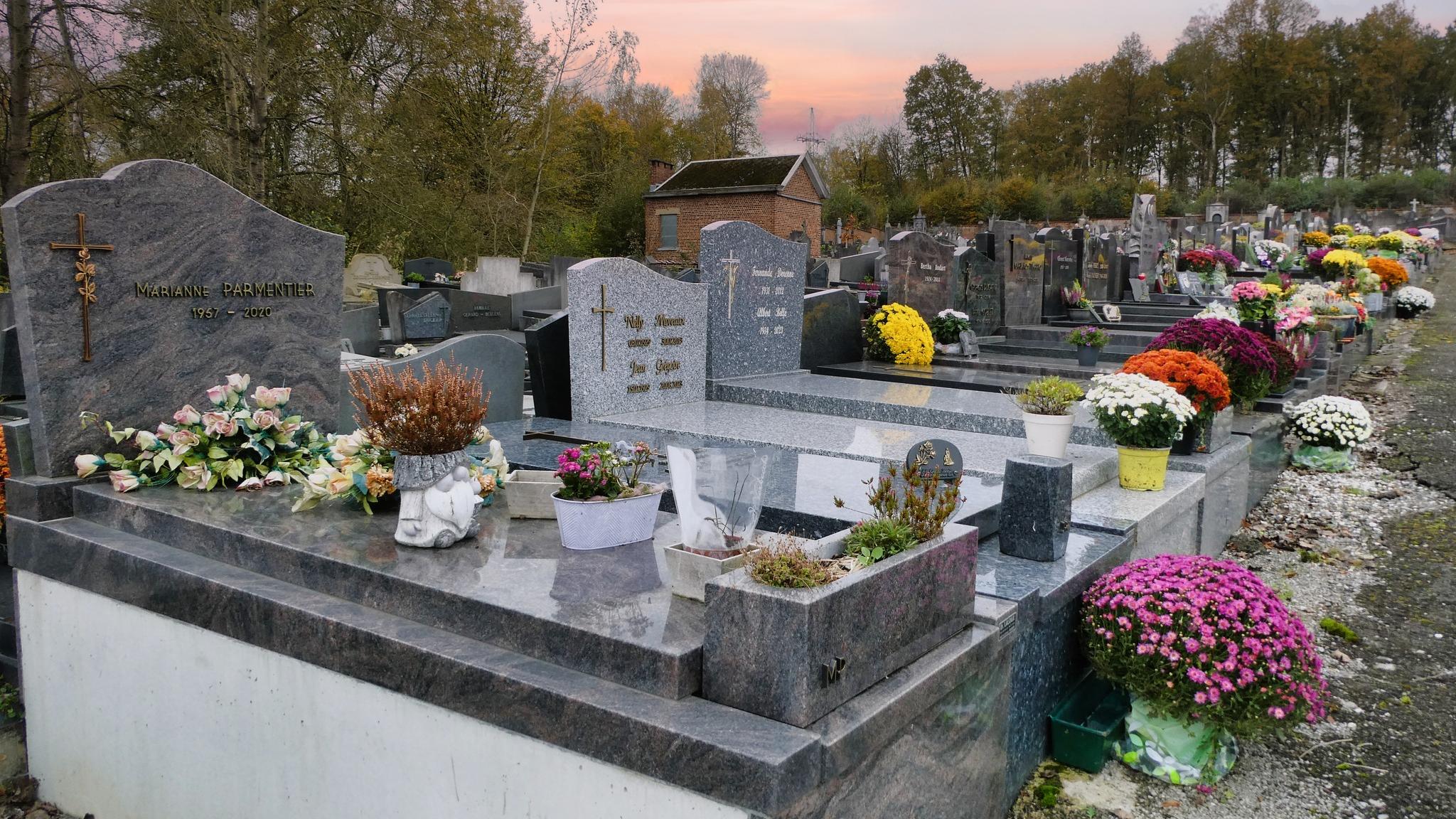 namurnovembre2024041