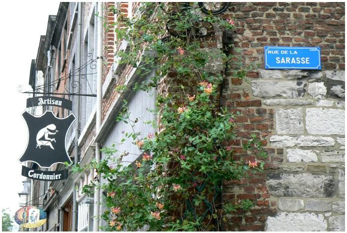 namur081006003