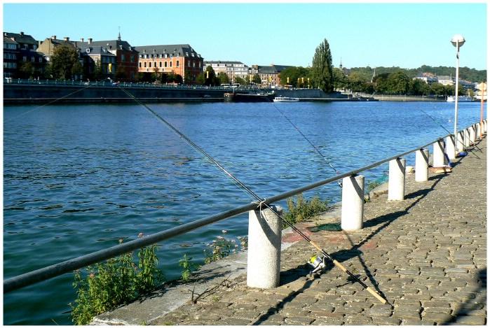 namur081006020