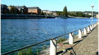 namur081006020
