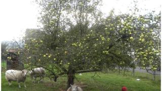 namur221006015