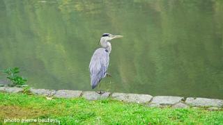 namur141007006