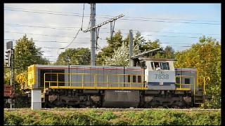 namur101010148