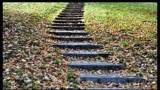 namur171010038