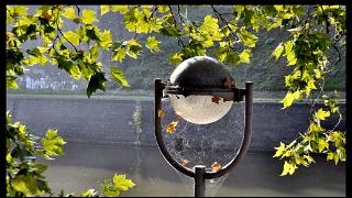 namur171010041