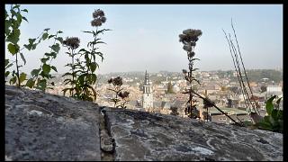 namur171010052