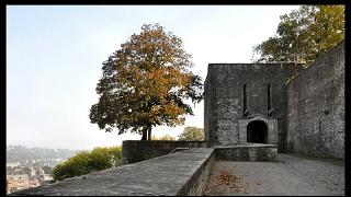 namur171010053