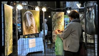 namur171010083