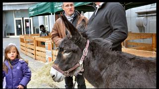 namur241010047