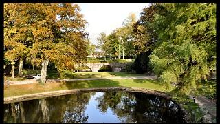 namur241010059