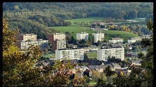 namur311010023