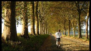 octobre2011287a