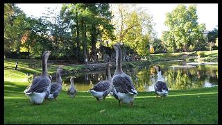 octobre2011370a