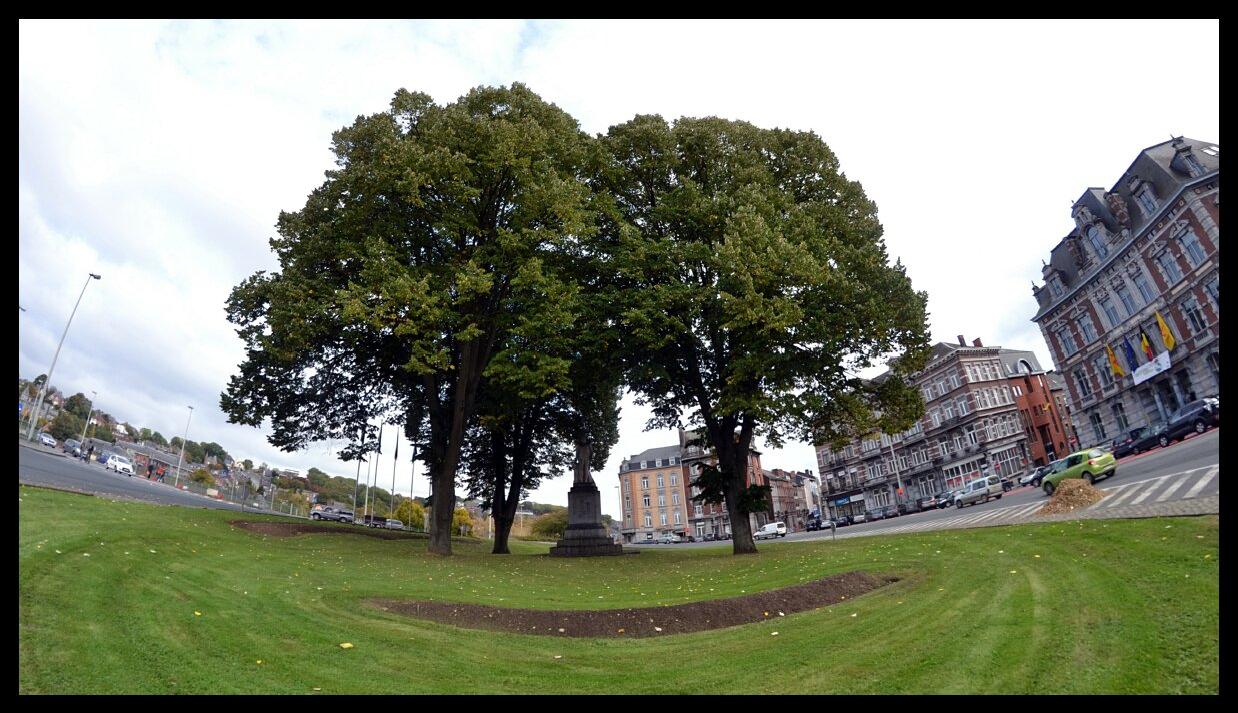 namur2010130277