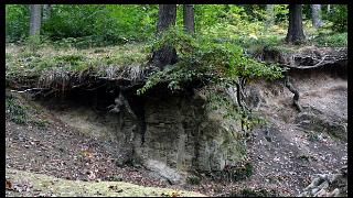 namur2010130018