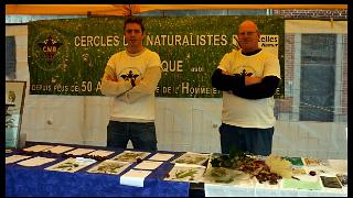namur2010130206