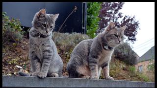 namur2710130163