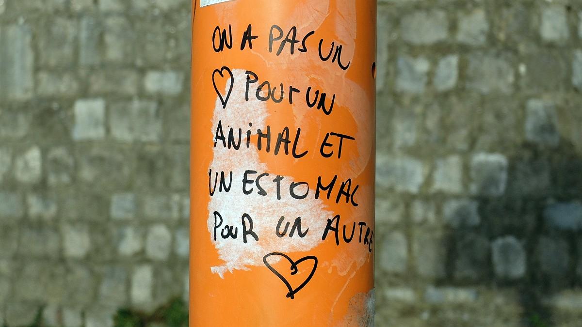 namur251015063