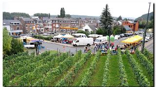 namur050910073