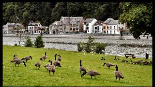 namur120910096