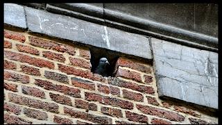 namur190910028