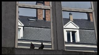 namur18091110152