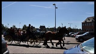 namur0909120213