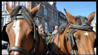 namur0909120240