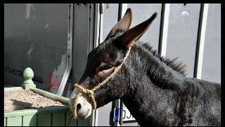 namur0909120252