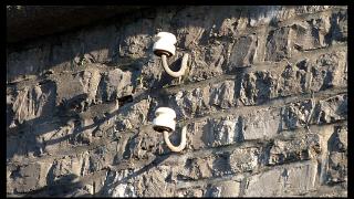 namur0909120275