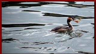namur1609120113