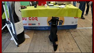 namur1609120163