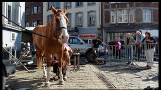 namur1509130005