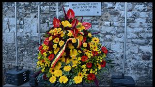 fbovesse2014 (73)