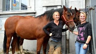 namur0709140131