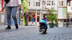 namur3009180033
