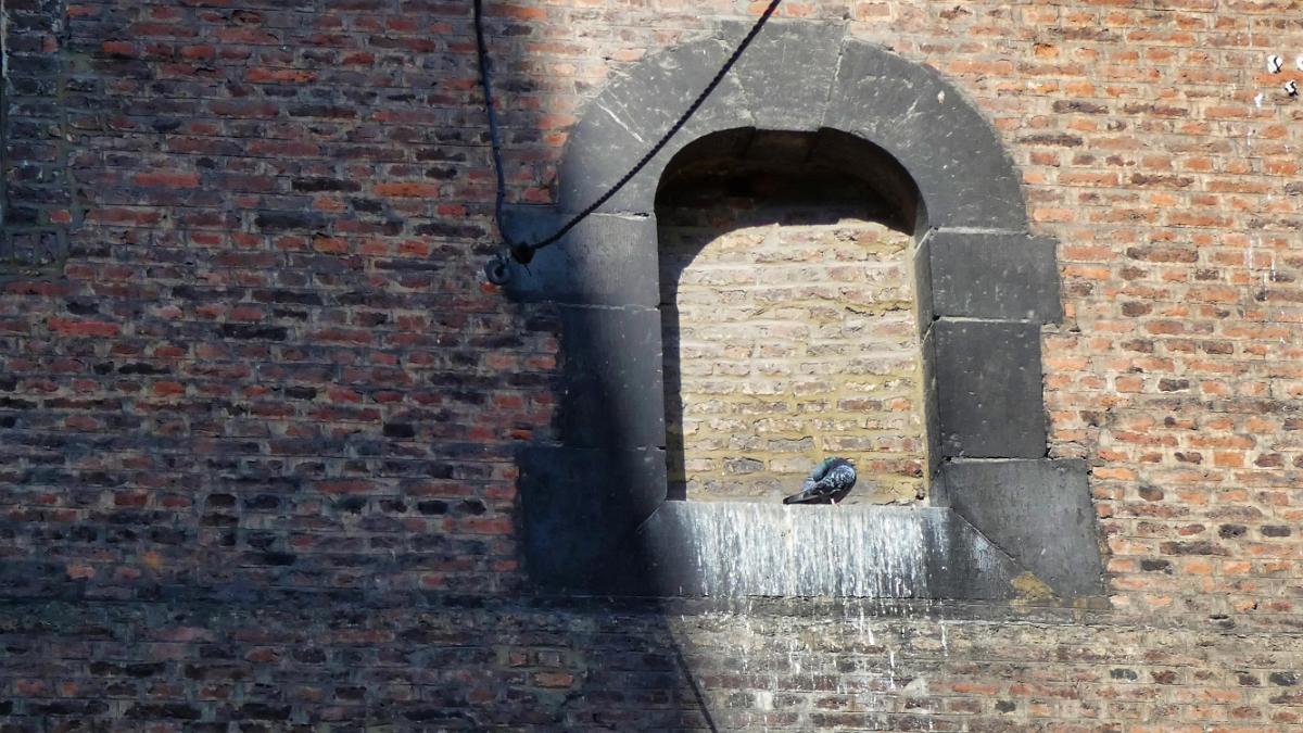namur010919125