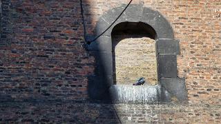 namur010919125