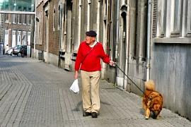 namur220407004
