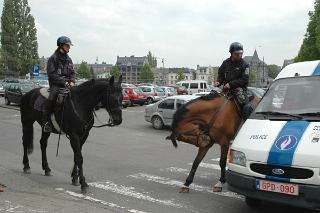 web_namur (3)